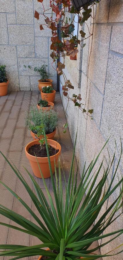 O Terraco Florido Apartment Viseu Exterior photo